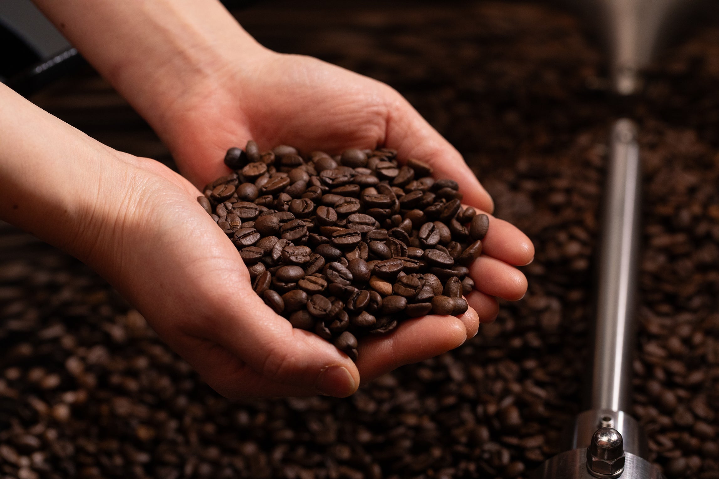 価格改定のご案内(2026年4月～) – Do coffee roastery
